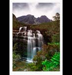 Celtic Seahorses Wall Plaque