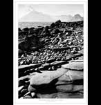 Celtic Thistle Wall Plaque