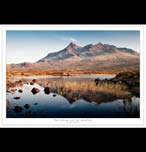 Celtic Thistle Wall Plaque